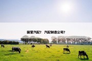 国营汽配？ 汽配制造公司？