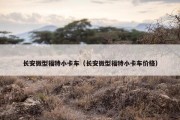 长安微型福特小卡车（长安微型福特小卡车价格）
