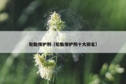 轮胎保护剂（轮胎保护剂十大排名）