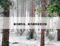 暴力摩托车，暴力摩托车型介绍