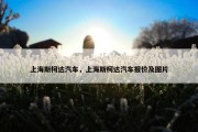 上海斯柯达汽车，上海斯柯达汽车报价及图片