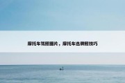 摩托车驾照图片，摩托车选牌照技巧