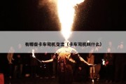 有哪些卡车司机交流（卡车司机叫什么）