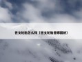 世文轮胎怎么样（世文轮胎是哪国的）
