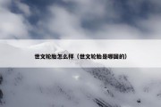 世文轮胎怎么样（世文轮胎是哪国的）