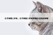 几千块钱二手车，几千块钱二手车买赛欧3还是买威驰