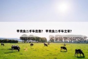 甲壳虫二手车出售？ 甲壳虫二手车之家？