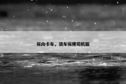 纵向卡车，货车纵横司机版