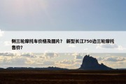 侧三轮摩托车价格及图片？ 新型长江750边三轮摩托售价？