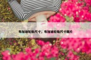 布加迪轮胎尺寸，布加迪轮胎尺寸图片