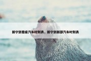 新宁到娄底汽车时刻表，新宁到新邵汽车时刻表