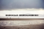 雷克摩托车怎么样（雷克摩托车全车型图片报价）