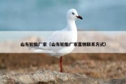 山东轮胎厂家（山东轮胎厂家直销联系方式）
