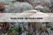 可以买二手车吗（黑户可以买二手车吗）