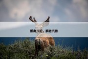 鹏典汽配，鹏驰汽修