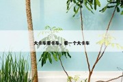 大卡车看卡车，看一个大卡车