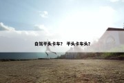 自驾平头卡车？ 平头卡车头？