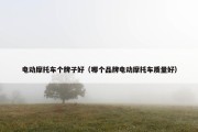 电动摩托车个牌子好（哪个品牌电动摩托车质量好）