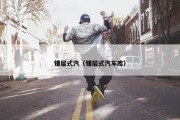 错层式汽（错层式汽车库）