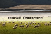 胶州东路汽配城？ 胶州哪里有卖汽车配件的？