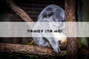 汽车ab柱子（汽车 ab柱）