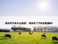 球头坏汽车什么症状？ 球头坏了汽车会跑偏吗？
