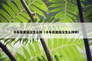 卡车高速路况怎么样（卡车高速路况怎么样啊）