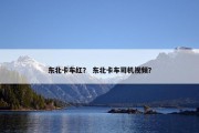 东北卡车红？ 东北卡车司机视频？