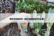 摩托车轮胎型号（摩托车轮胎型号怎么看）