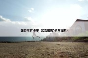 巨型挖矿卡车（巨型挖矿卡车图片）