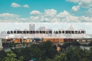山东丰源轮胎制造股份有限公司（山东丰源轮胎怎么样）
