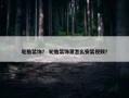 轮胎装饰？ 轮胎装饰罩怎么安装视频？