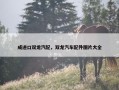 成进口双龙汽配，双龙汽车配件图片大全