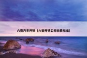 六安汽车开锁（六安开锁公司收费标准）