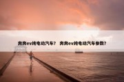 奔奔ev纯电动汽车？ 奔奔ev纯电动汽车参数？