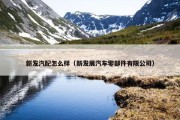 新发汽配怎么样（新发展汽车零部件有限公司）