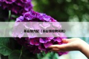 茶山镇汽配（茶山镇招聘司机）