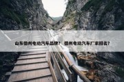 山东德州电动汽车品牌？ 德州电动汽车厂家排名？