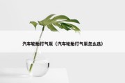 汽车轮胎打气泵（汽车轮胎打气泵怎么选）