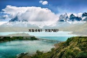 万友卡车？ 万友汽配？