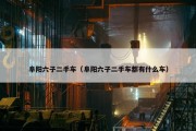 阜阳六子二手车（阜阳六子二手车都有什么车）