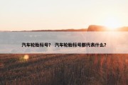 汽车轮胎标号？ 汽车轮胎标号都代表什么？