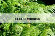 卡车小高（小卡车超高的标准）