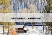汽车保养保养什么（车保养都保养啥）