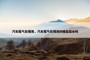 汽车尾气处理液，汽车尾气处理液的桶能装水吗