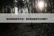 拖拉机轮胎型号大全？ 拖拉机轮胎型号大全图片？
