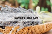 巴西串联卡车，巴西卡车品牌