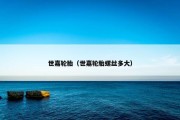 世嘉轮胎（世嘉轮胎螺丝多大）