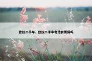 欧拉二手车，欧拉二手车电池有质保吗