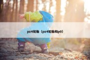 pz4轮胎（pz4轮胎和p0）